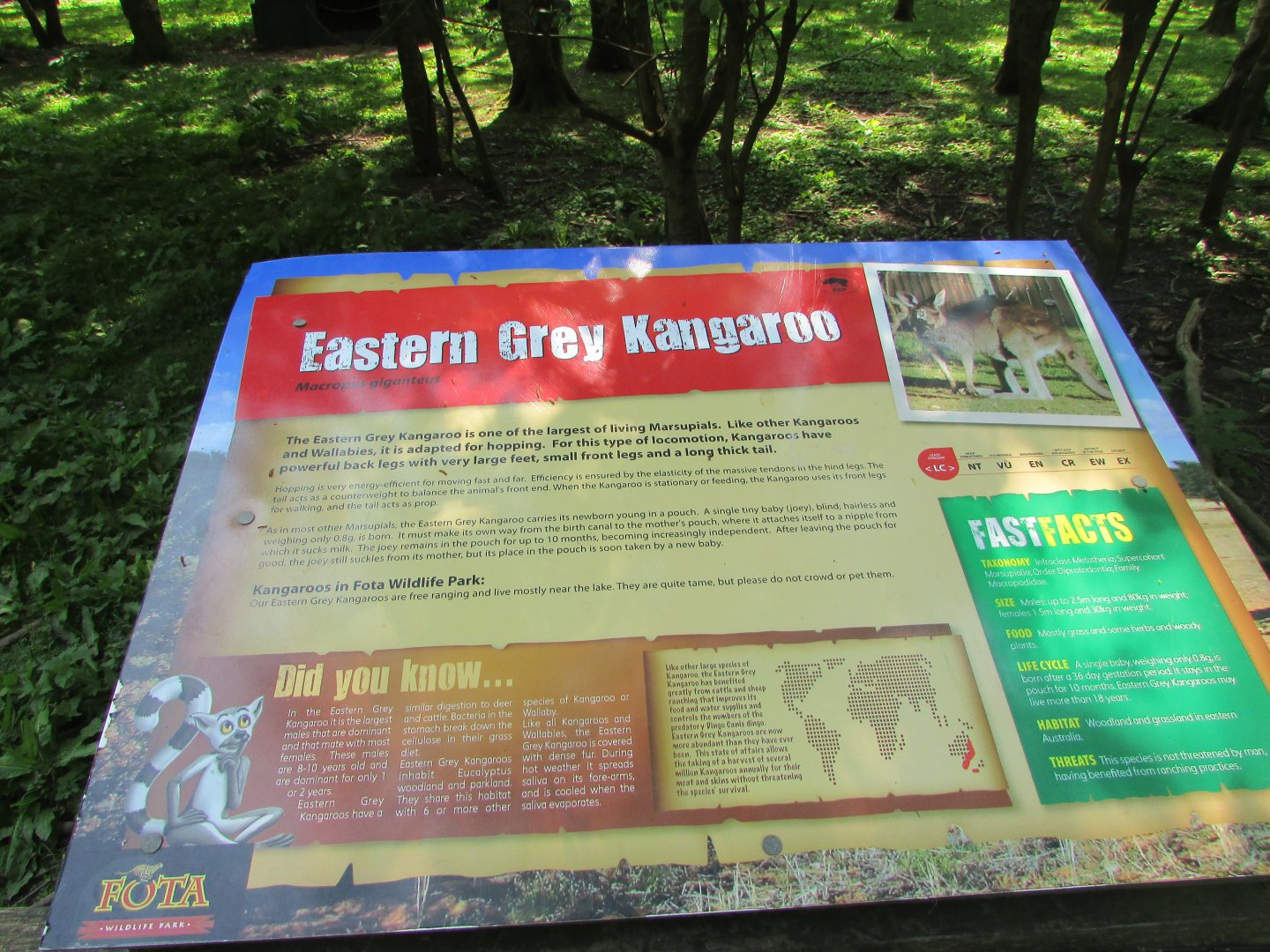 Fota Wildlife Park - Informative signage
