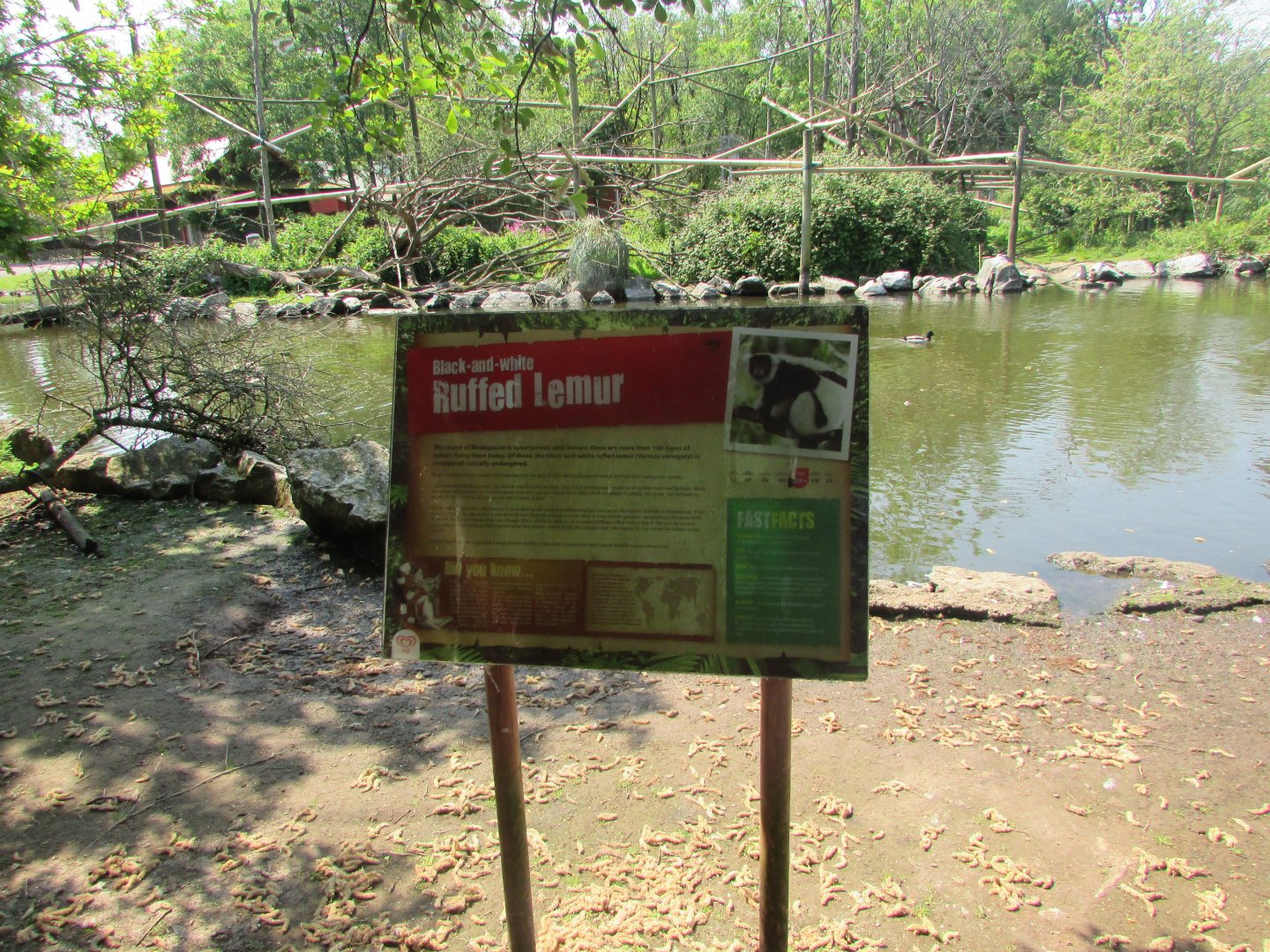 Fota Wildlife Park - Informative signage
