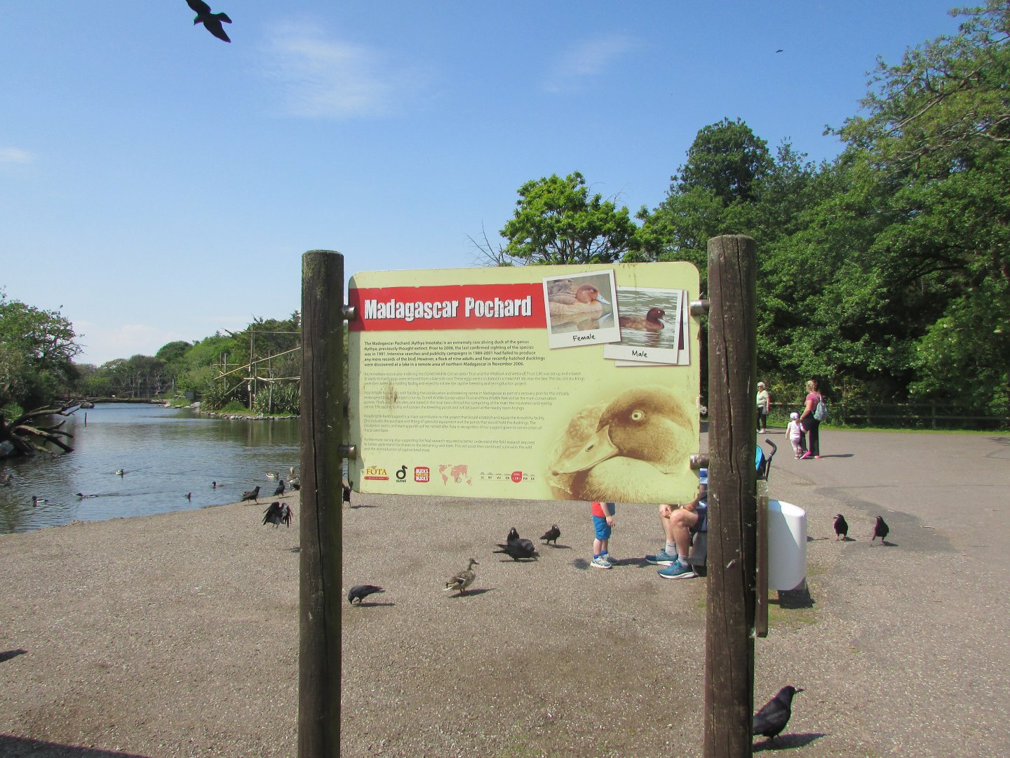 Fota Wildlife Park - Informative signage