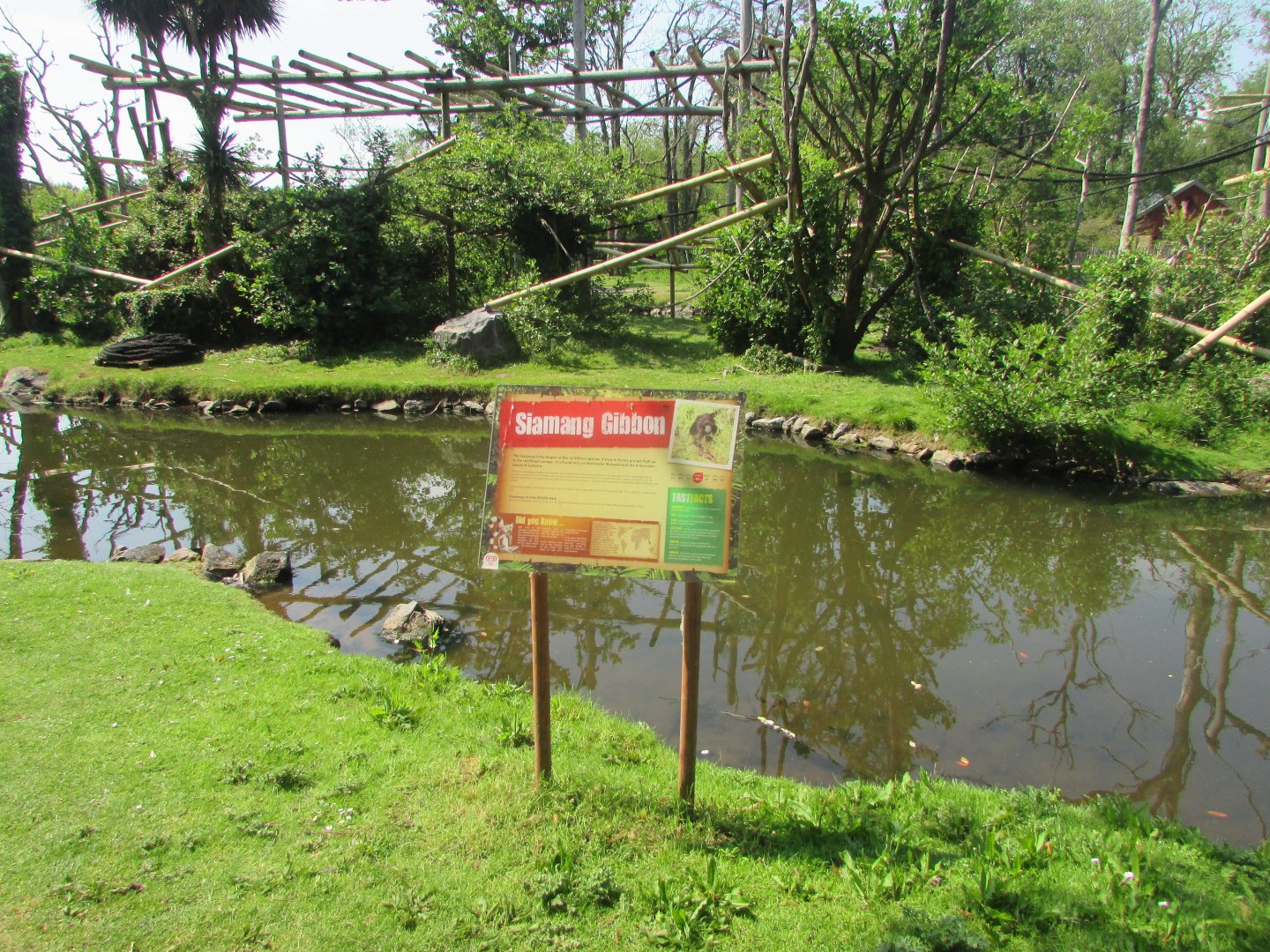 Fota Wildlife Park - Informative signage
