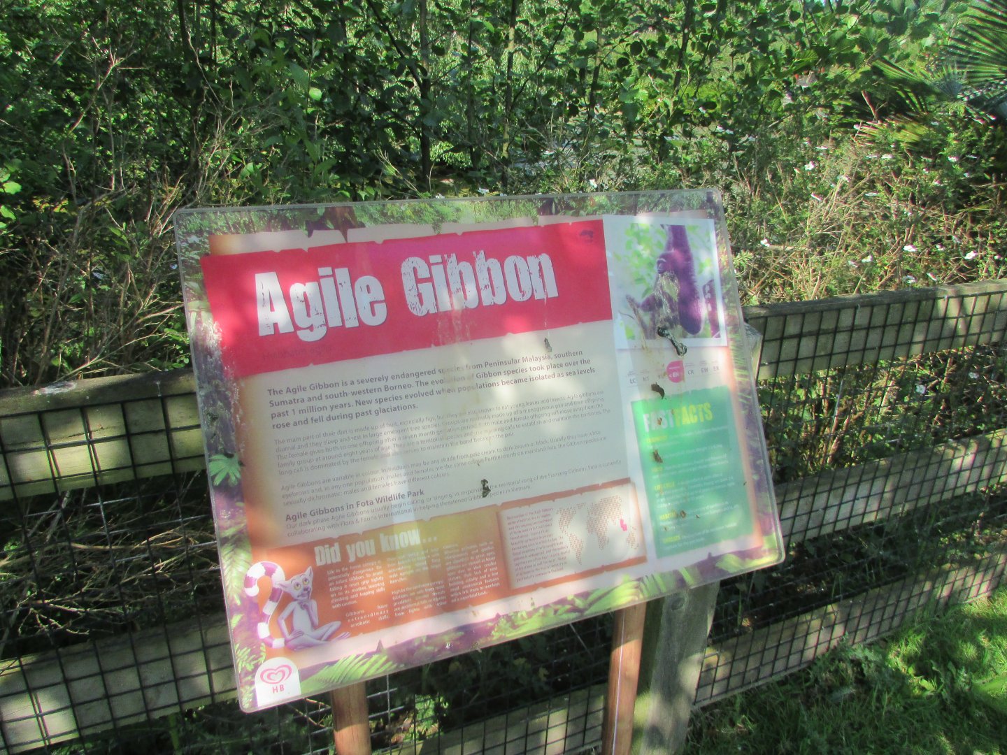 Fota Wildlife Park - Informative signage