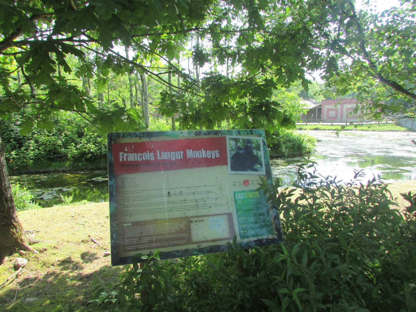 Fota Wildlife Park - Informative signage
