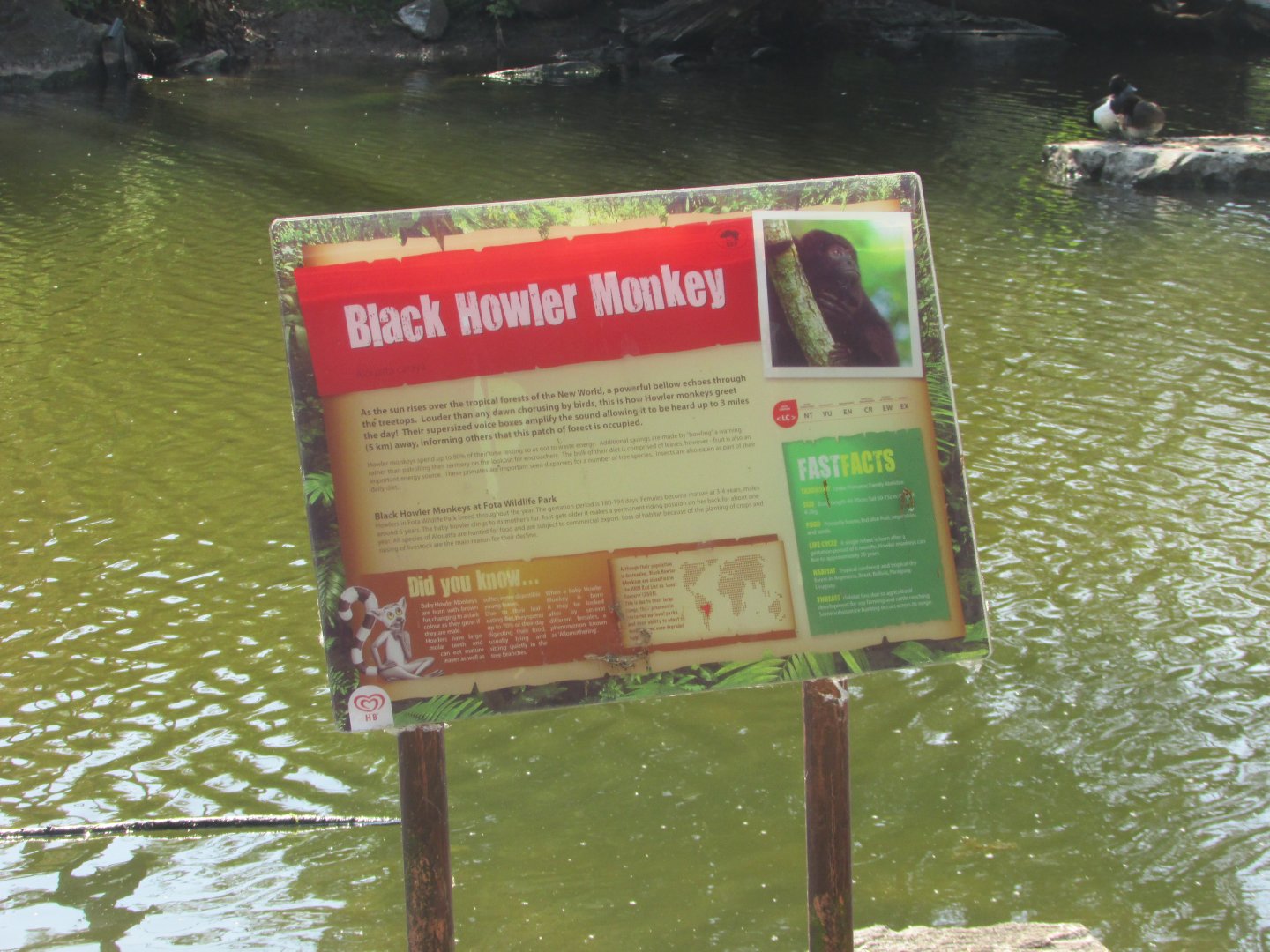 Fota Wildlife Park - Informative signage