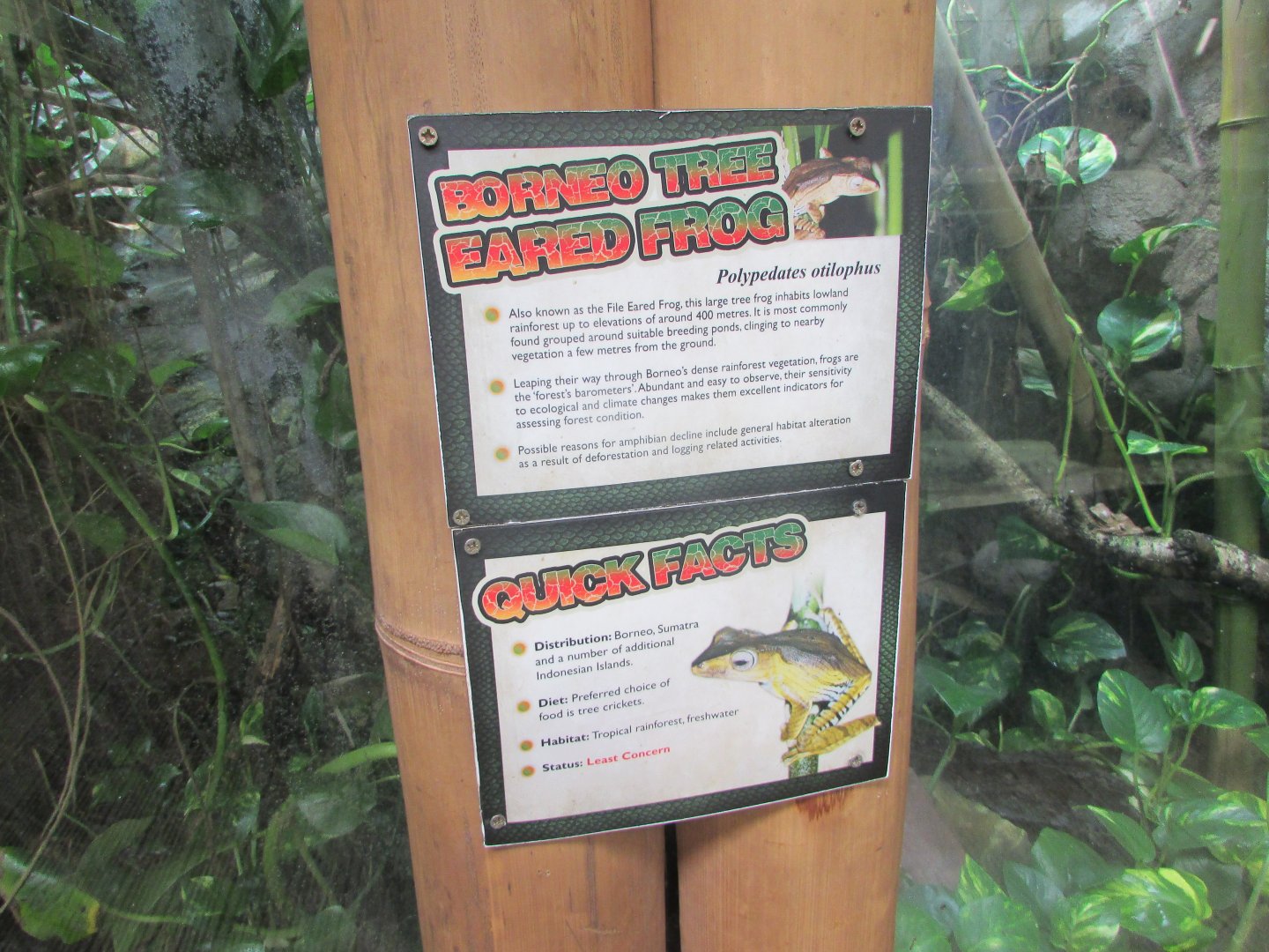 Fota Wildlife Park - Informative signage