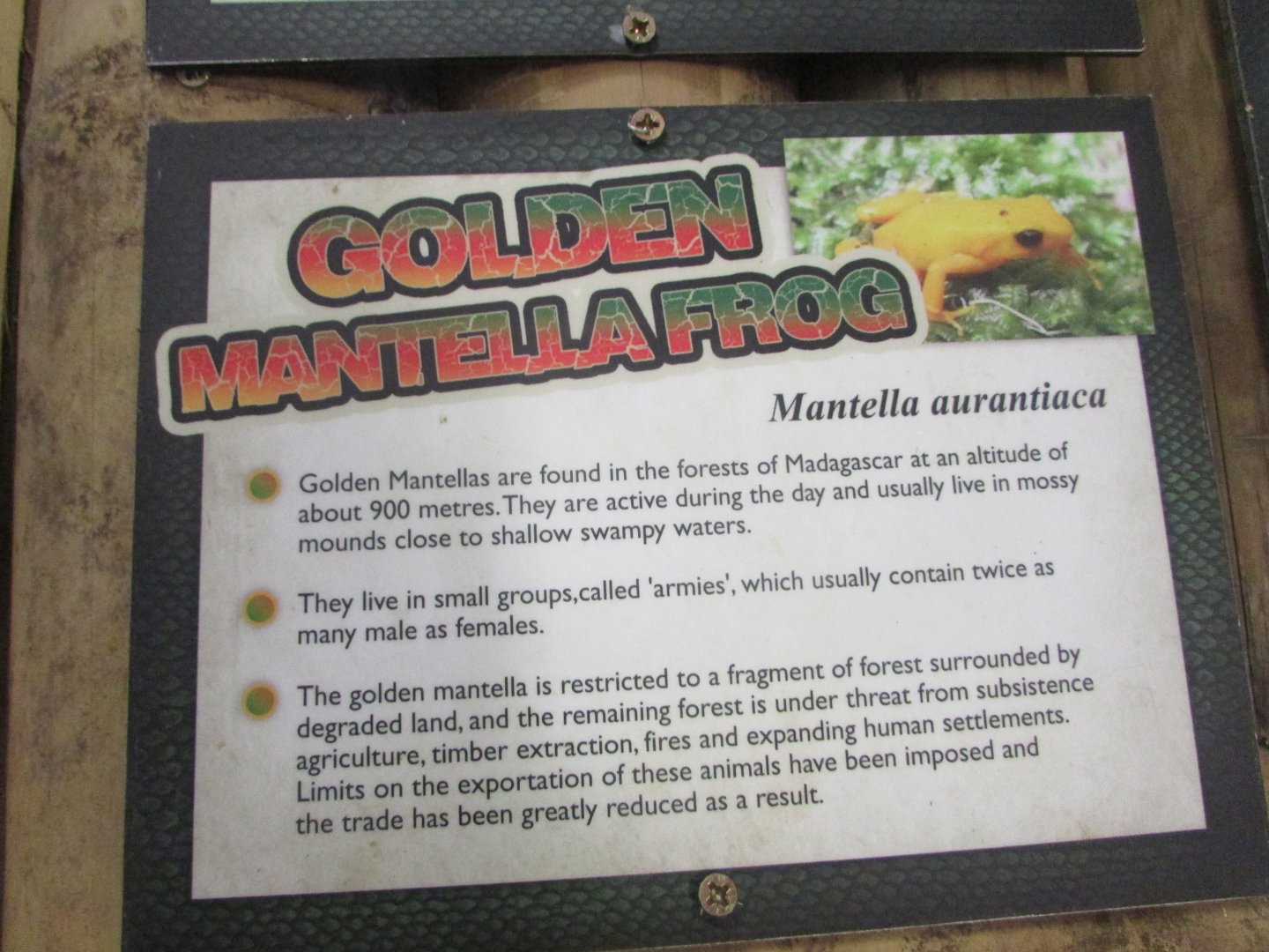Fota Wildlife Park - Informative signage