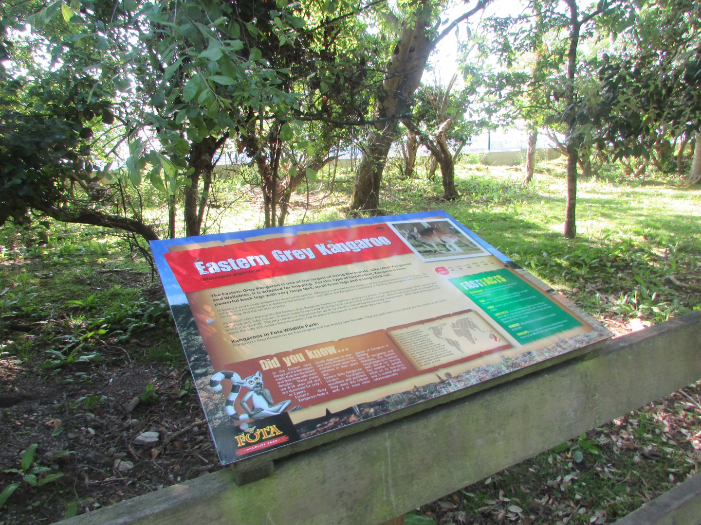Fota Wildlife Park - Informative signage