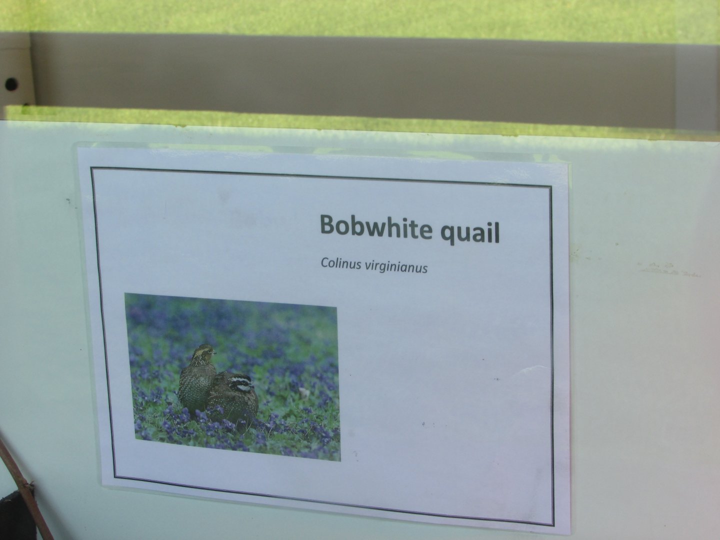 Fota Wildlife Park - Informative signage