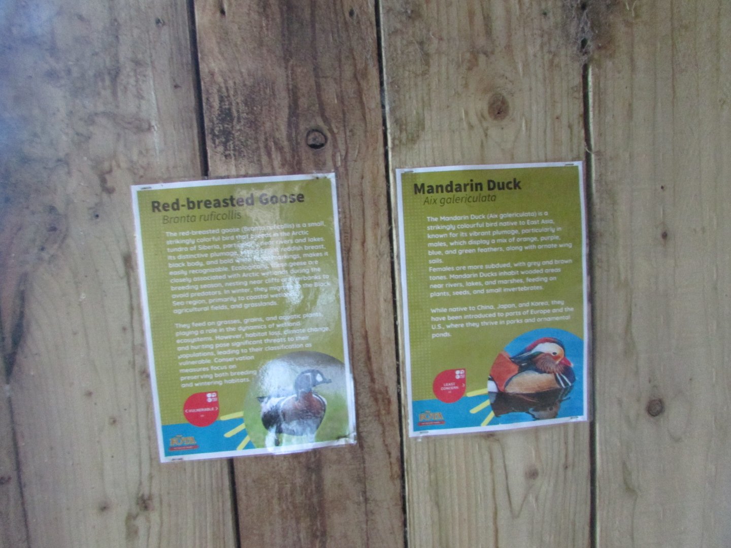 Fota Wildlife Park - Informative signage