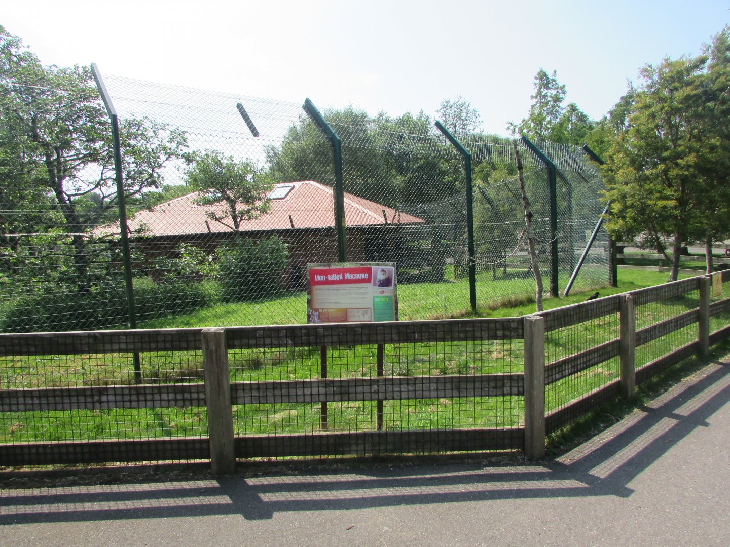 Fota Wildlife Park - Lion-tailed macaque exhibit and informative signage