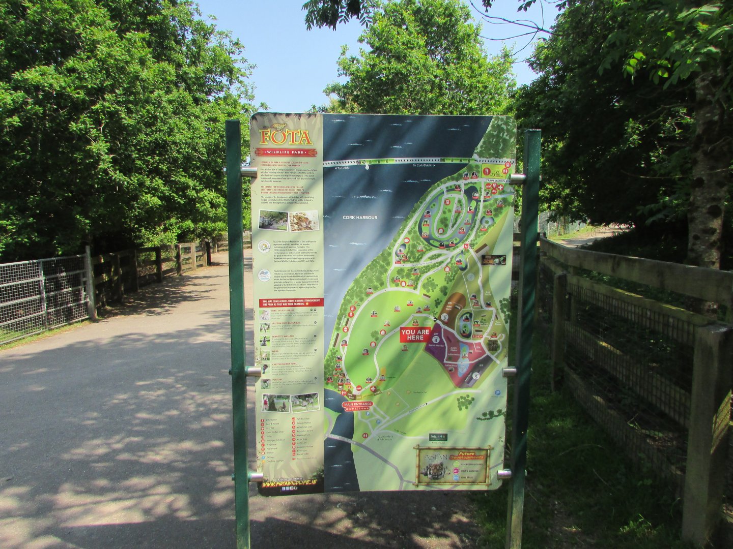 Fota Wildlife Park - Map
