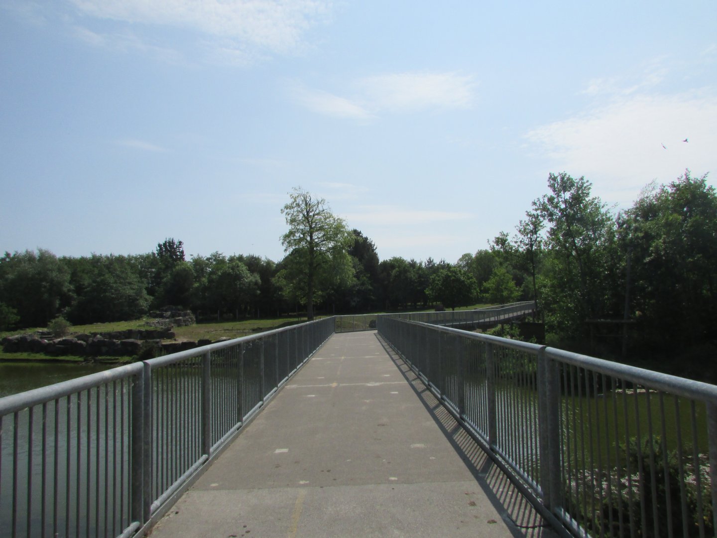 Fota Wildlife Park - Overpass above the Indian rhinoceros exhibit
