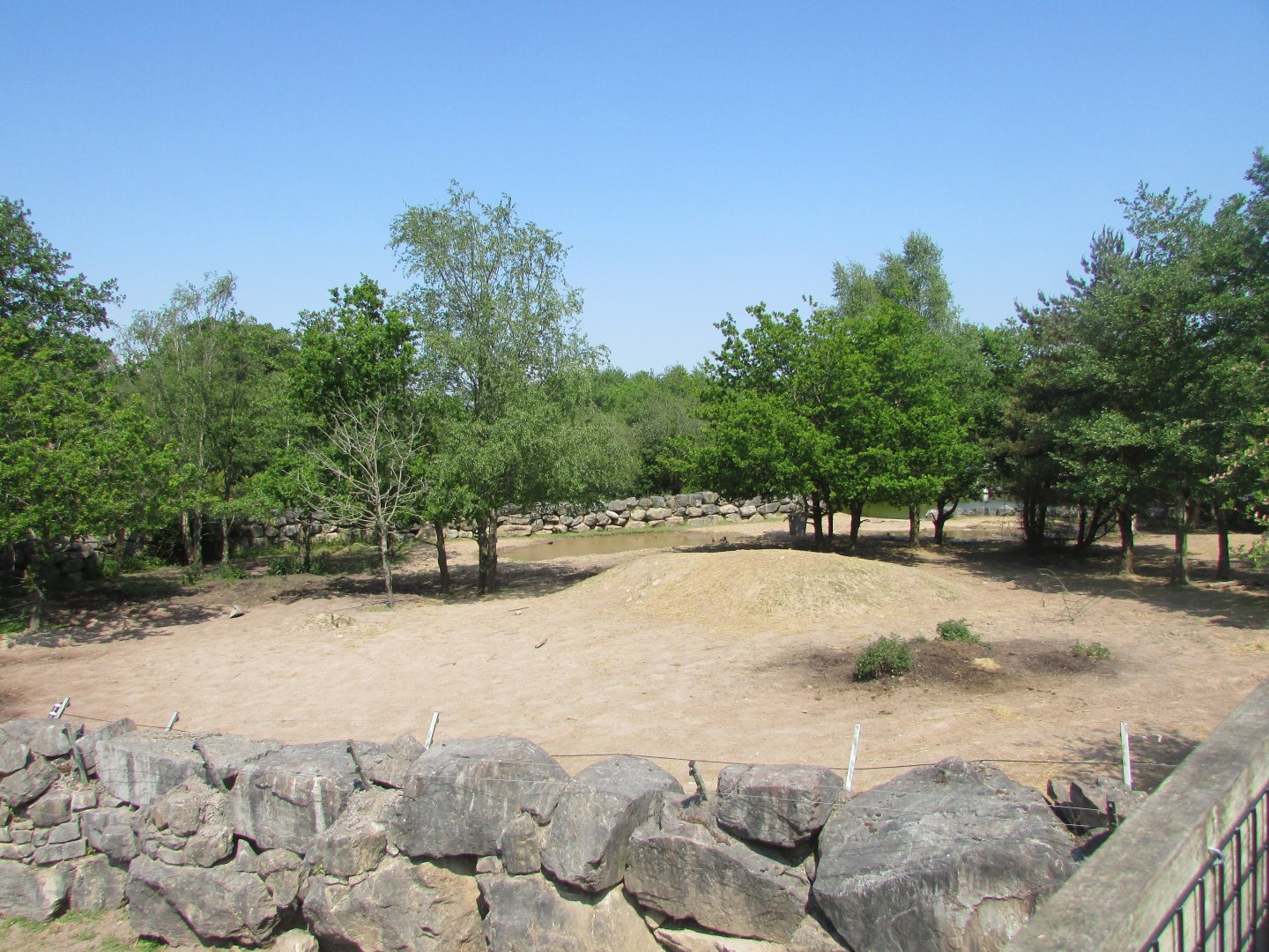 Fota Wildlife Park - Part of the Indian rhinoceros exhibit
