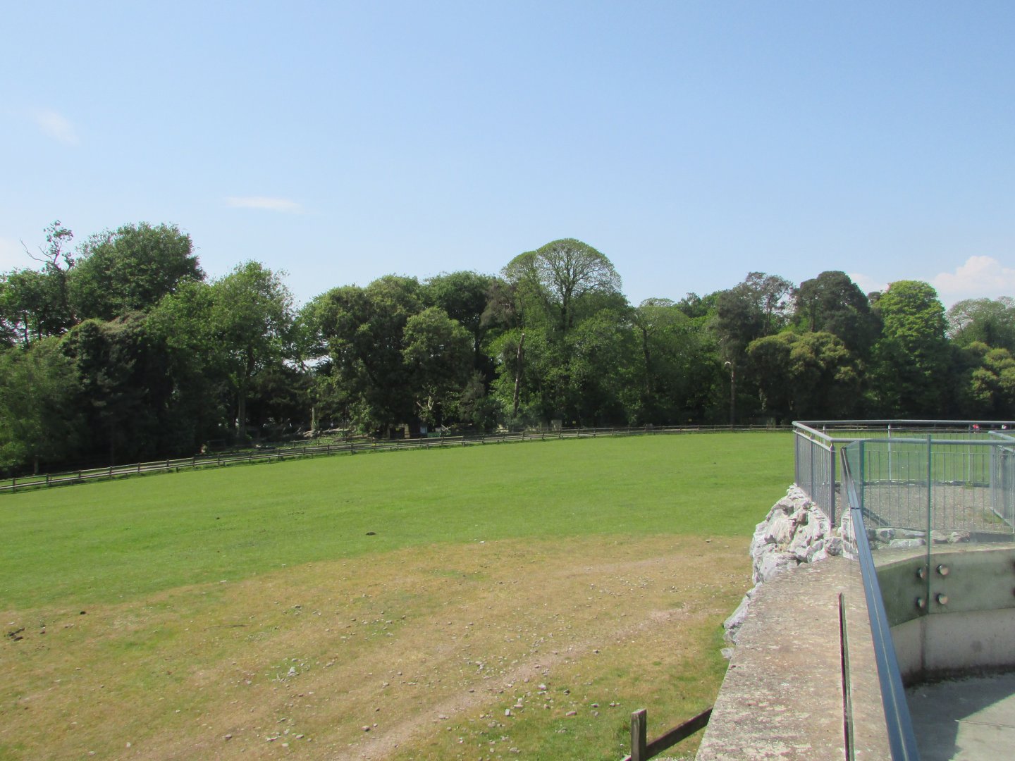 Fota Wildlife Park - View from the African savanna lookout