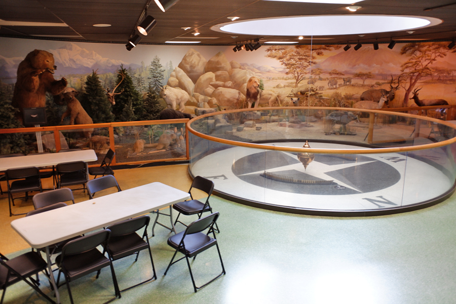 Foucault pendulum and taxidermy diorama