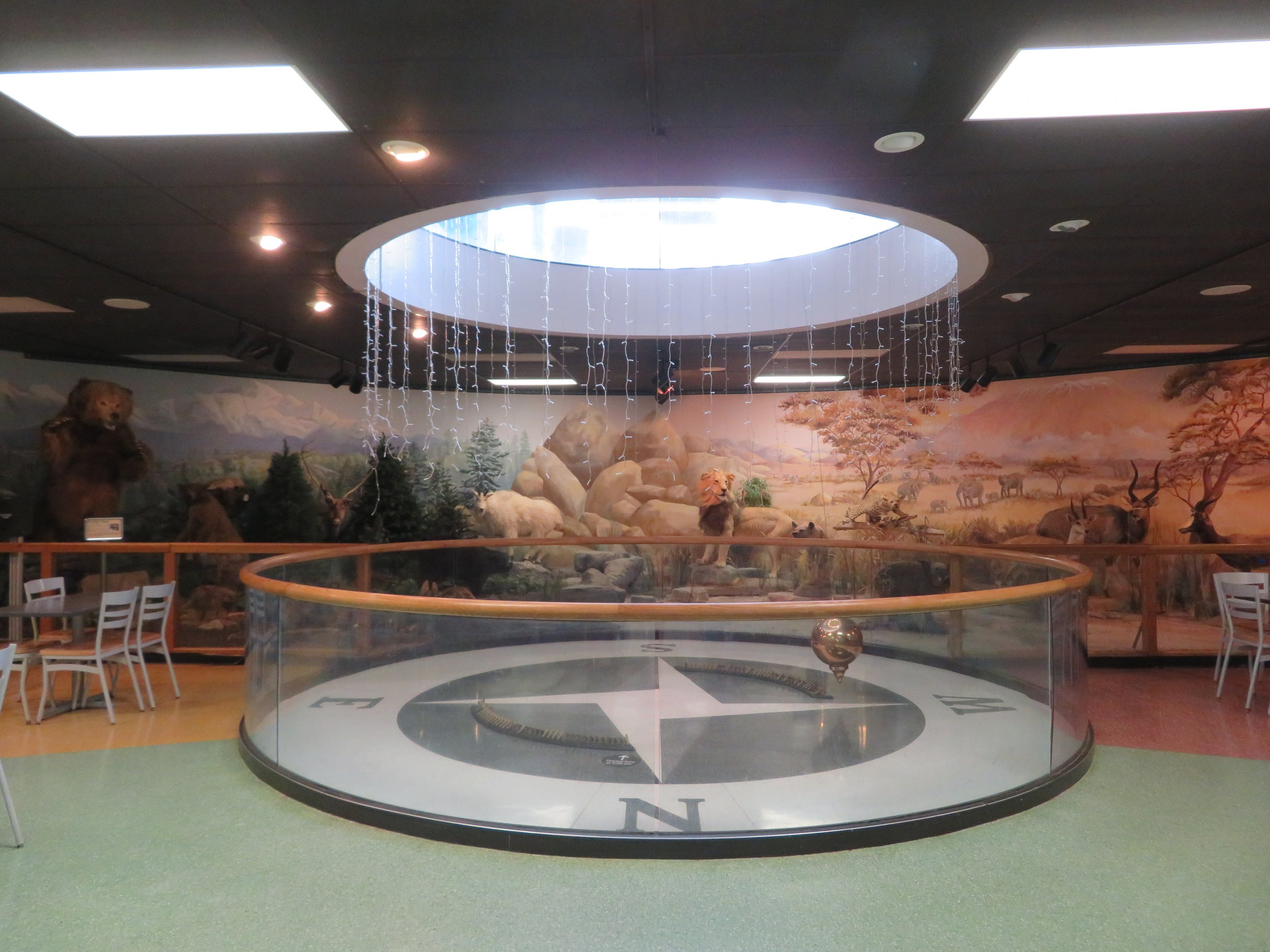 Foucault Pendulum