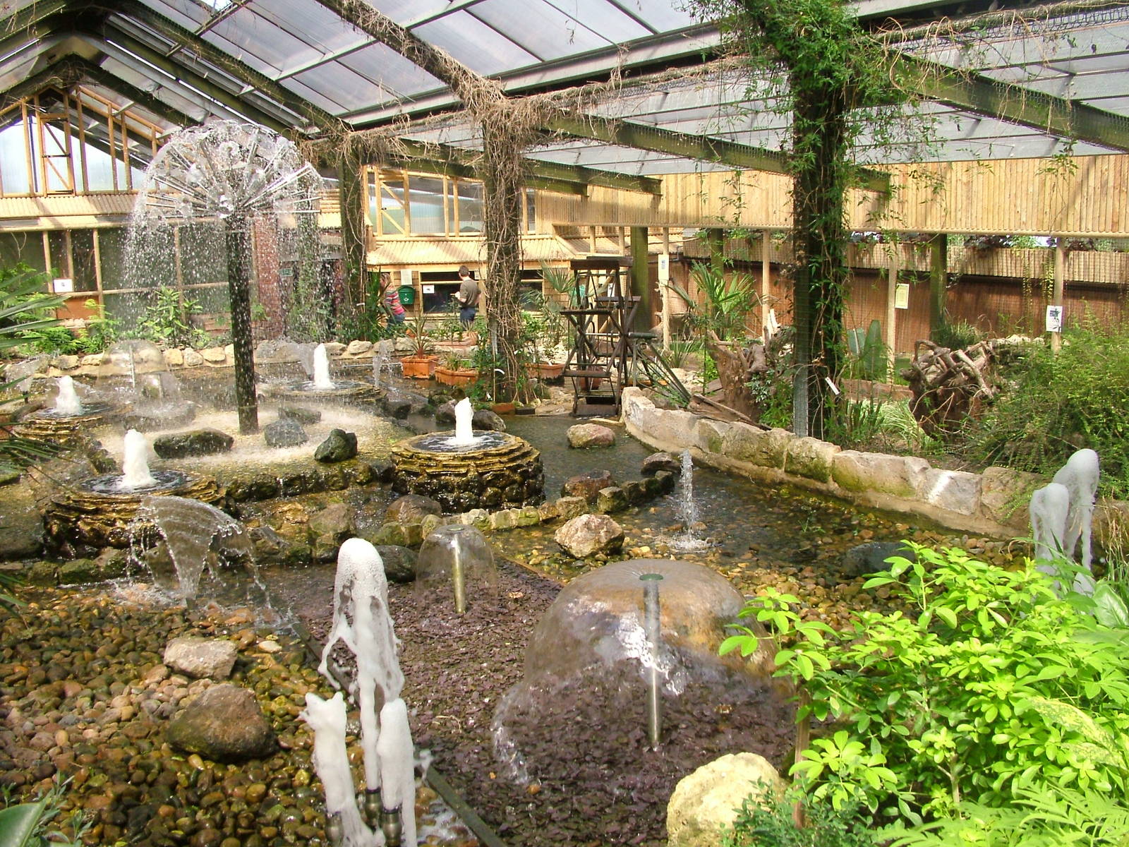 Fountain centrepiece of the tropical house at Flamingo Park, Seaview, Isle