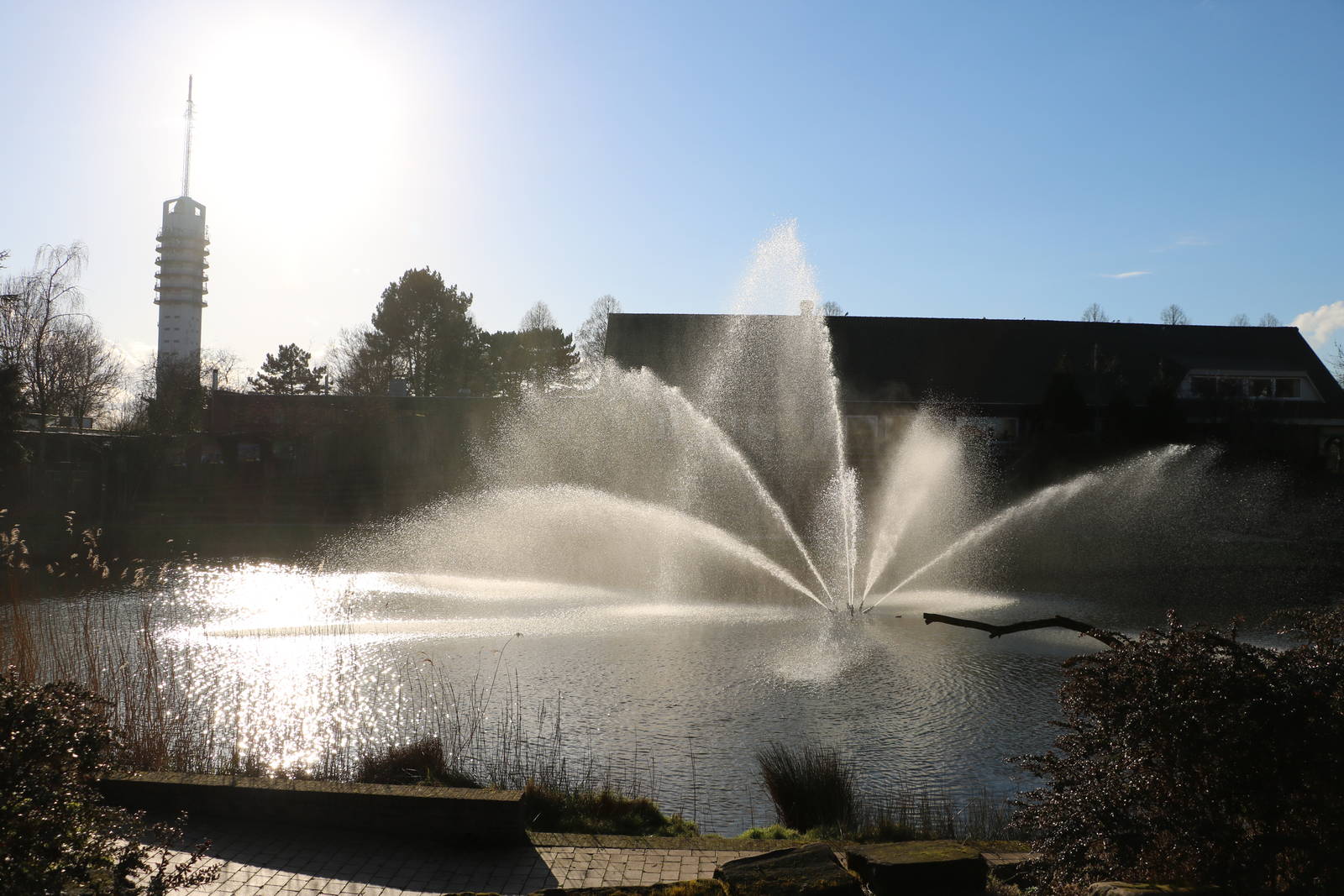Fountain, February 2016