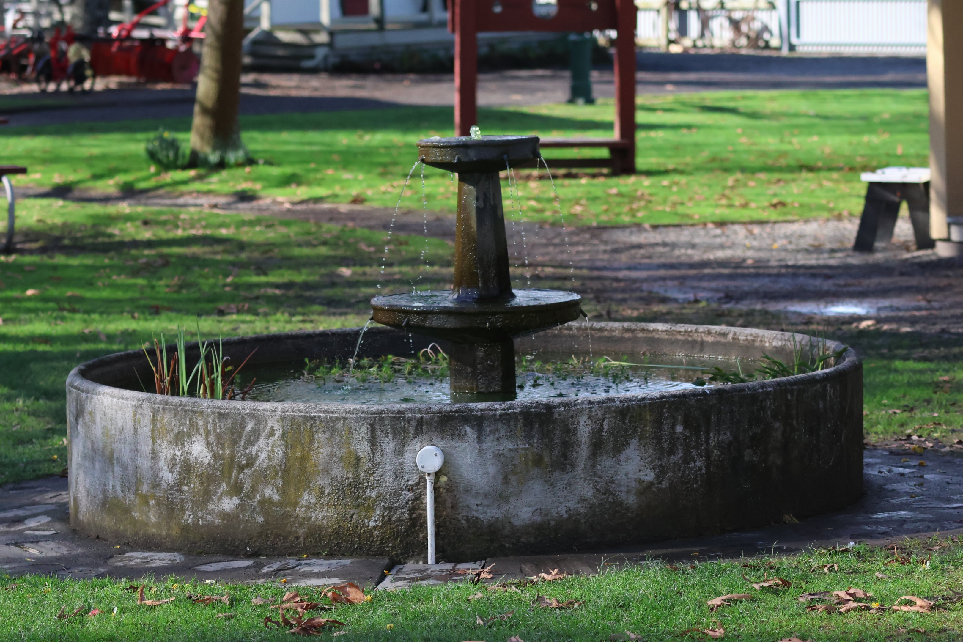 Fountain + Goldfish pond, Cobblestones Museum (Greytown, Wairarapa)