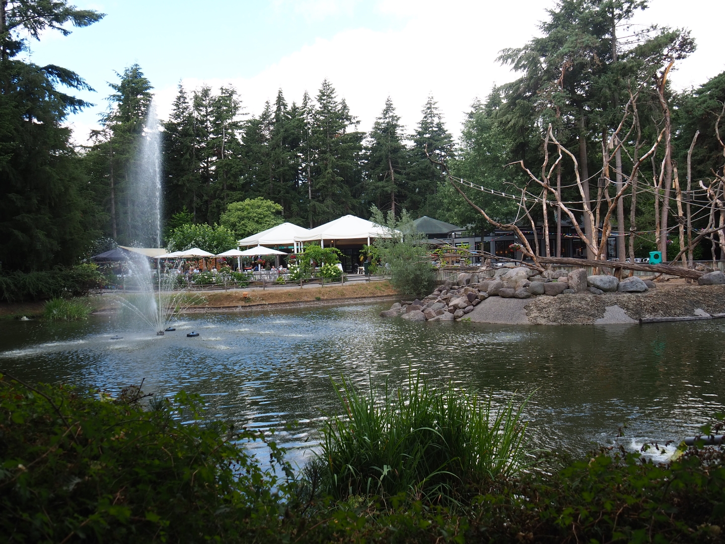 Fountain lake and Japanese macaque island