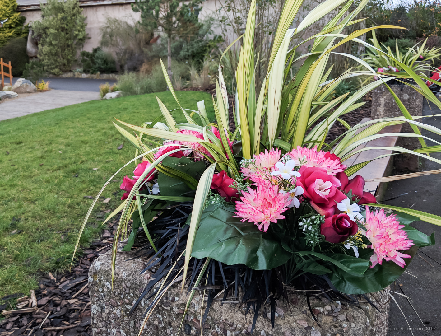 Fountain Lawns Flowers