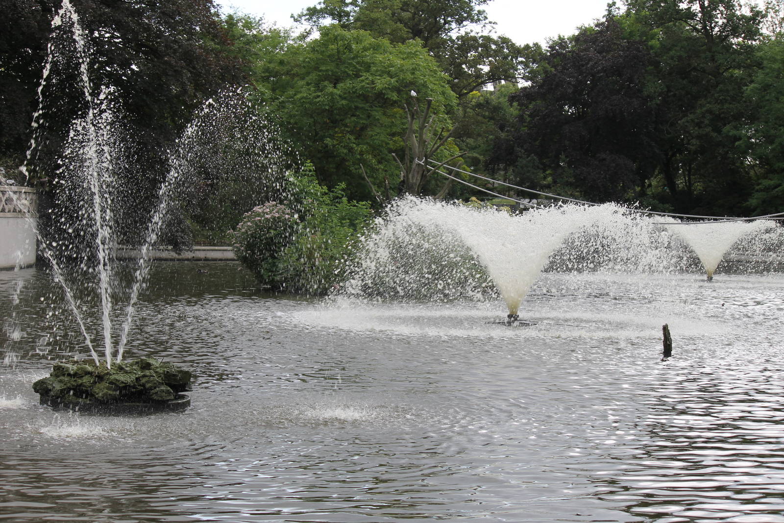Fountains in the main pond.