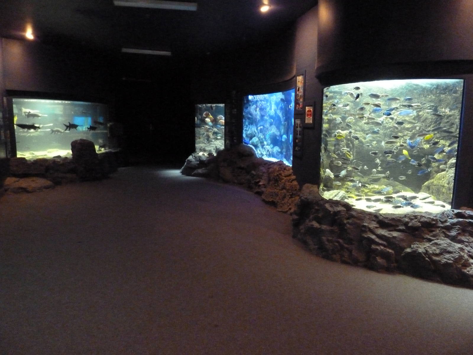 Four Different Ecosystem Exhibits