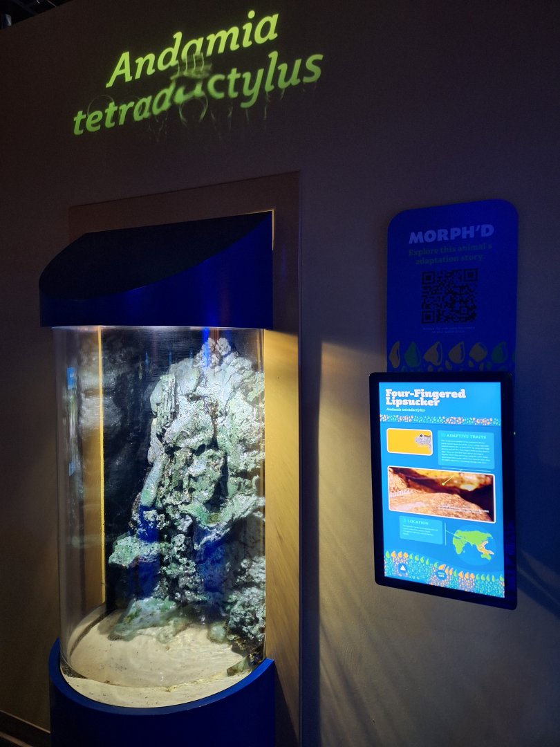 Four-fingered Lipsucker Tank