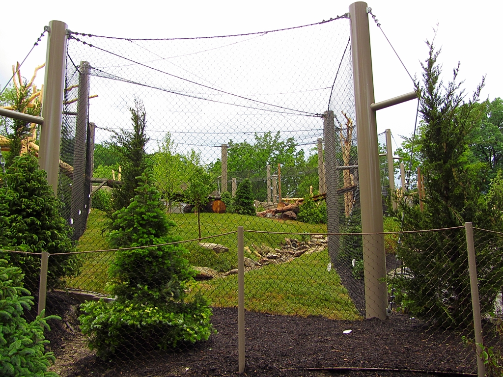 Fourth Amur Tiger Yard