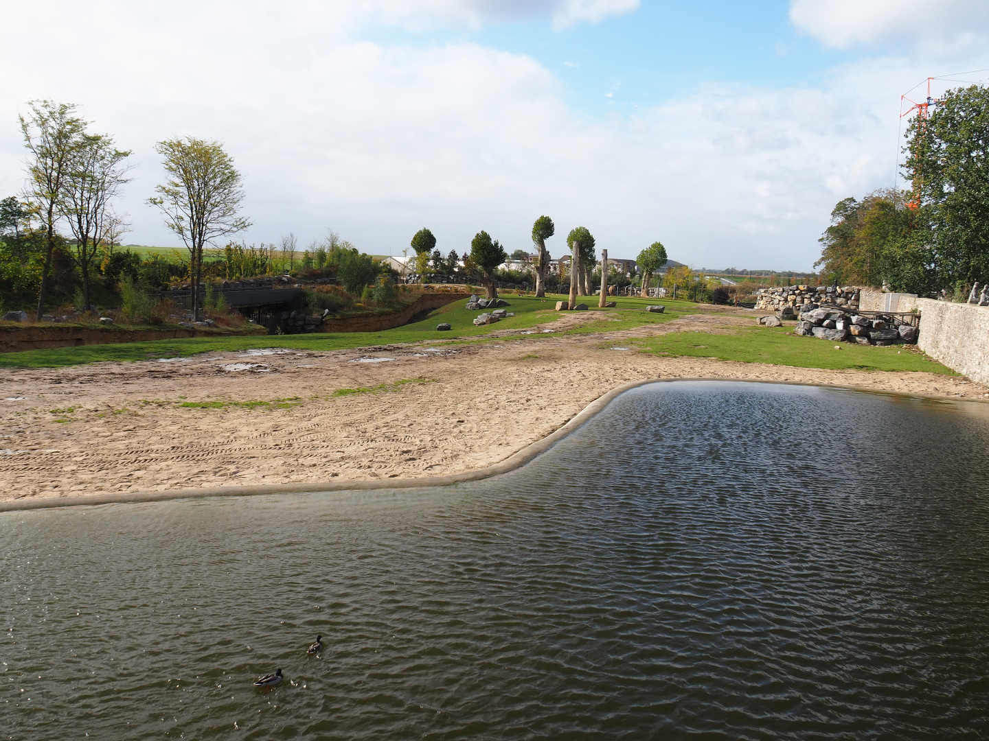Fourth Asian elephant paddock (with Blackbuck and Brow-antlered deer), 2019-10-04