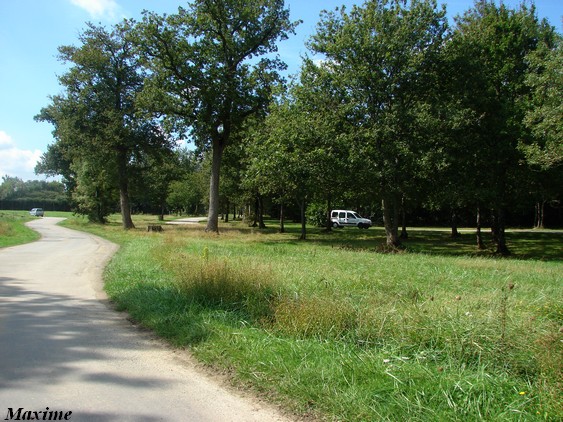 Fourth exhibit (Cars-Part) : Cheetahs