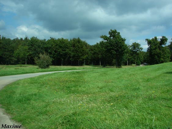 Fourth exhibit (Cars-Part) : Cheetahs