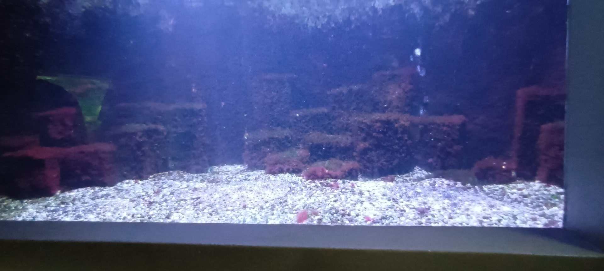 Fourth North east Atlantic and North Sea Tank