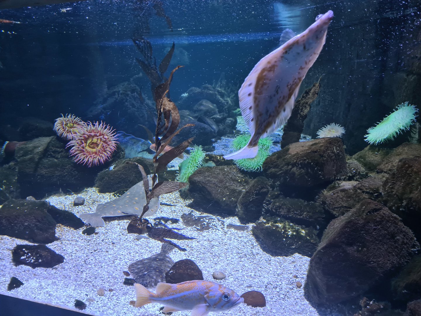 Fourth room - view from side window