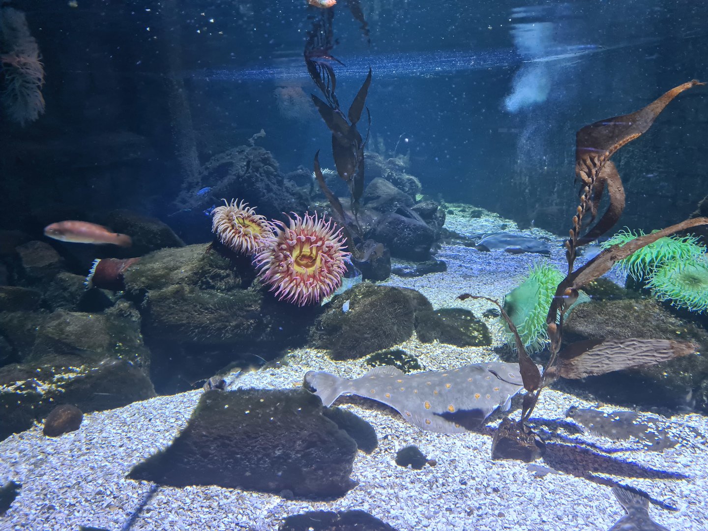 Fourth room - view from side window