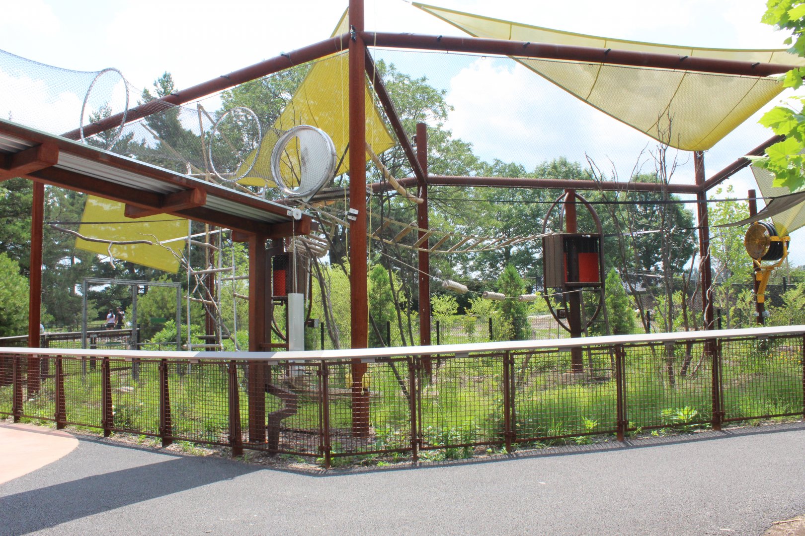 Fourth Rotational Exhibit (Coquerel's Sifaka) - Primate Canopy Trails