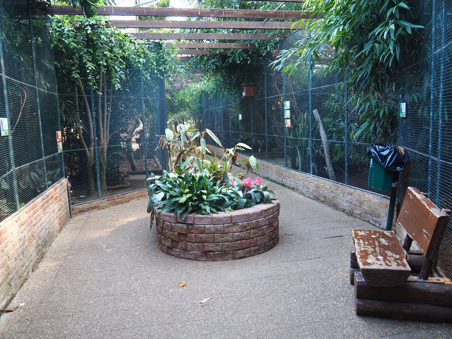 Fourth section of the tropical hall - Aviary room (Sep 2nd, 2018)