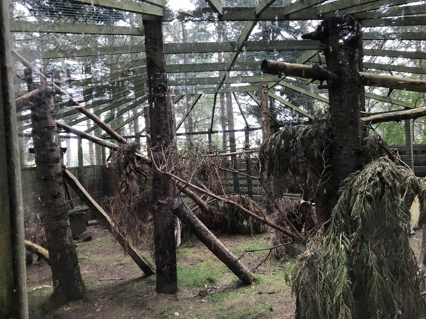 Fourth wildcat enclosure
