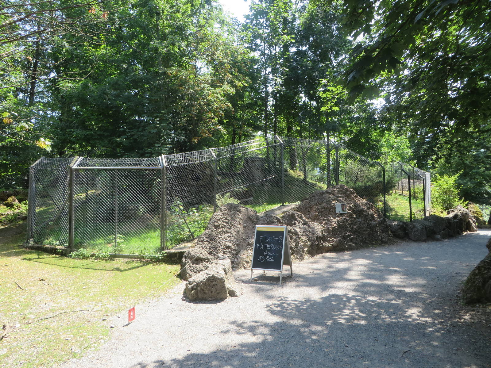 Fox and badger enclosure