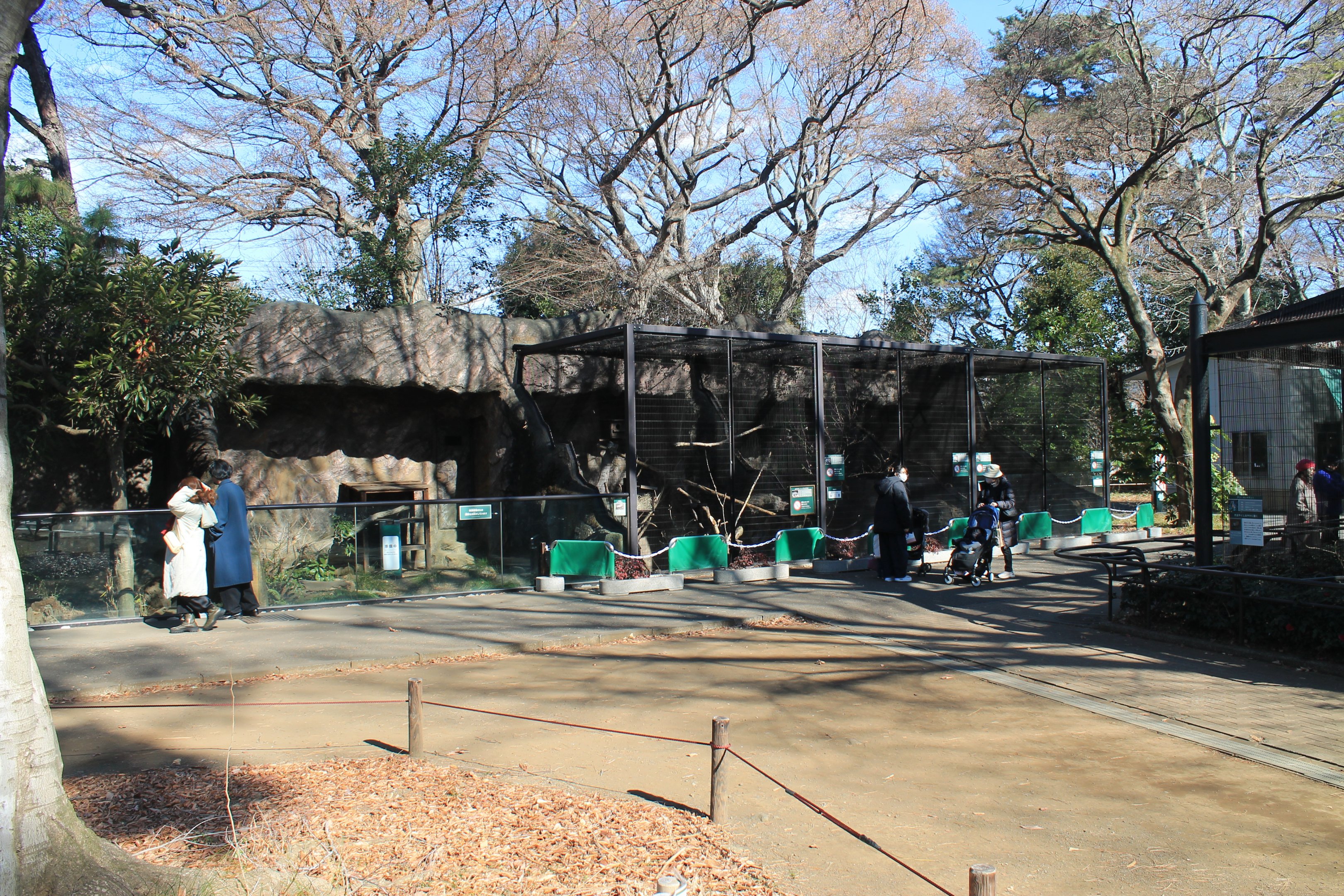 Fox and Giant Flying Squirrel cages