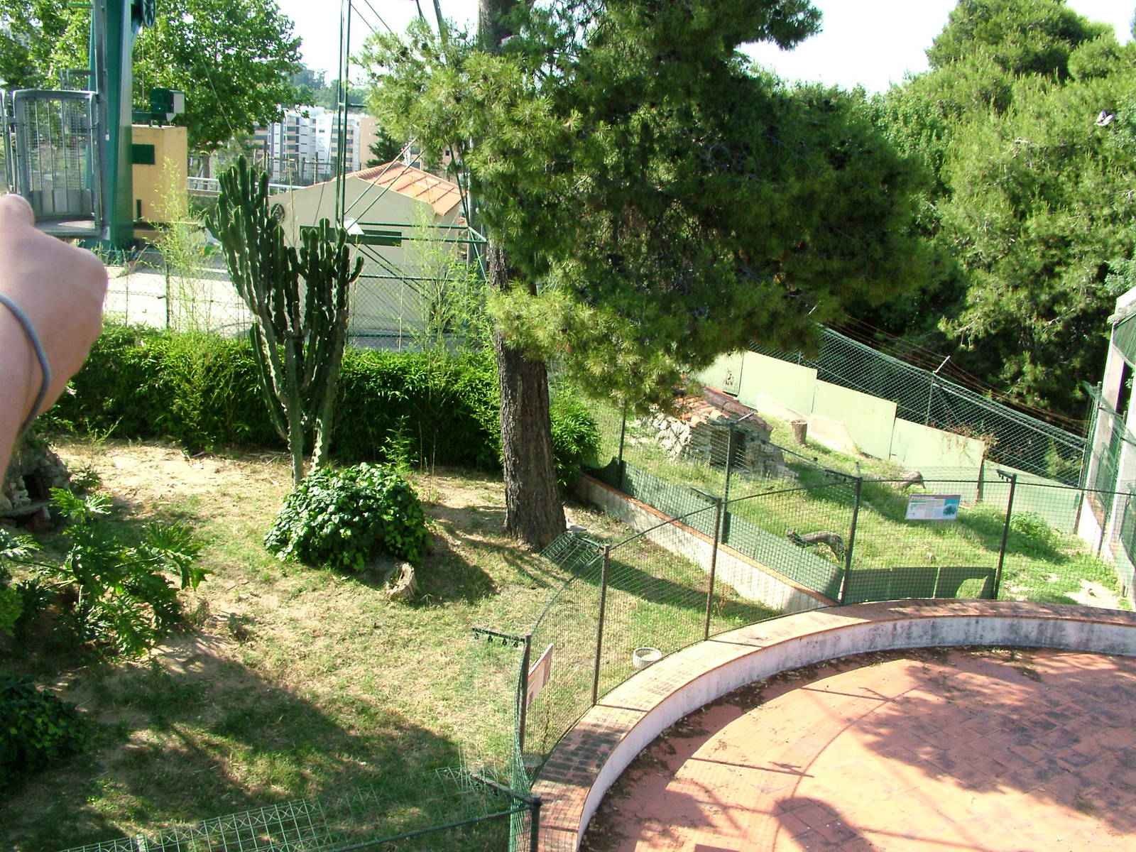 Fox and Porcupine Exhibits at Lisbon Zoo, 24/05/11