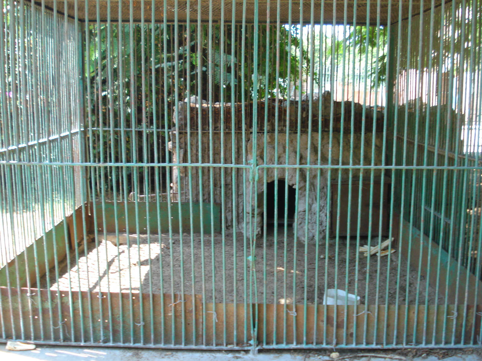 Fox cage
