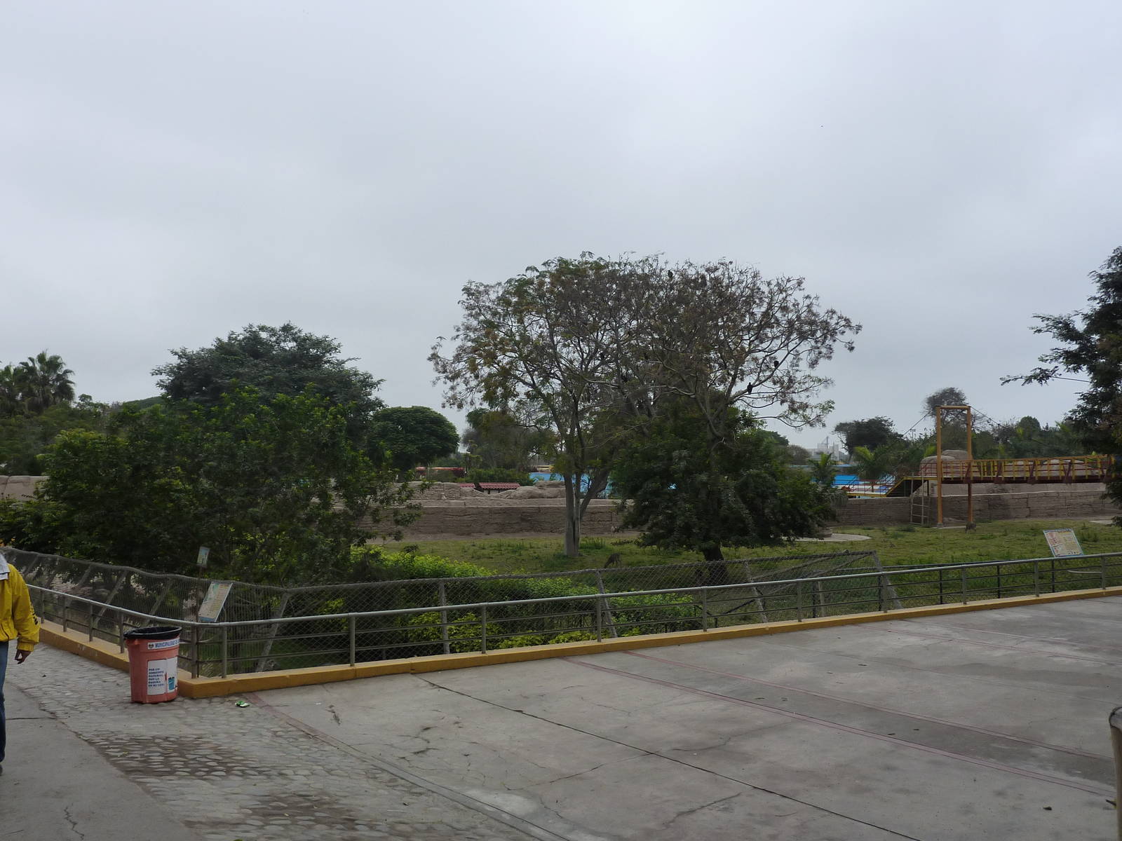 Fox & deer viewing area