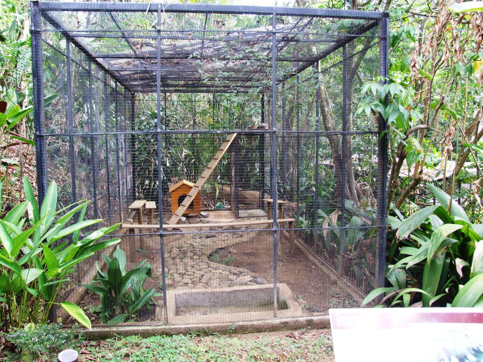 Fox Enclosure at Zoo Simon Bolivar, 12/04/14