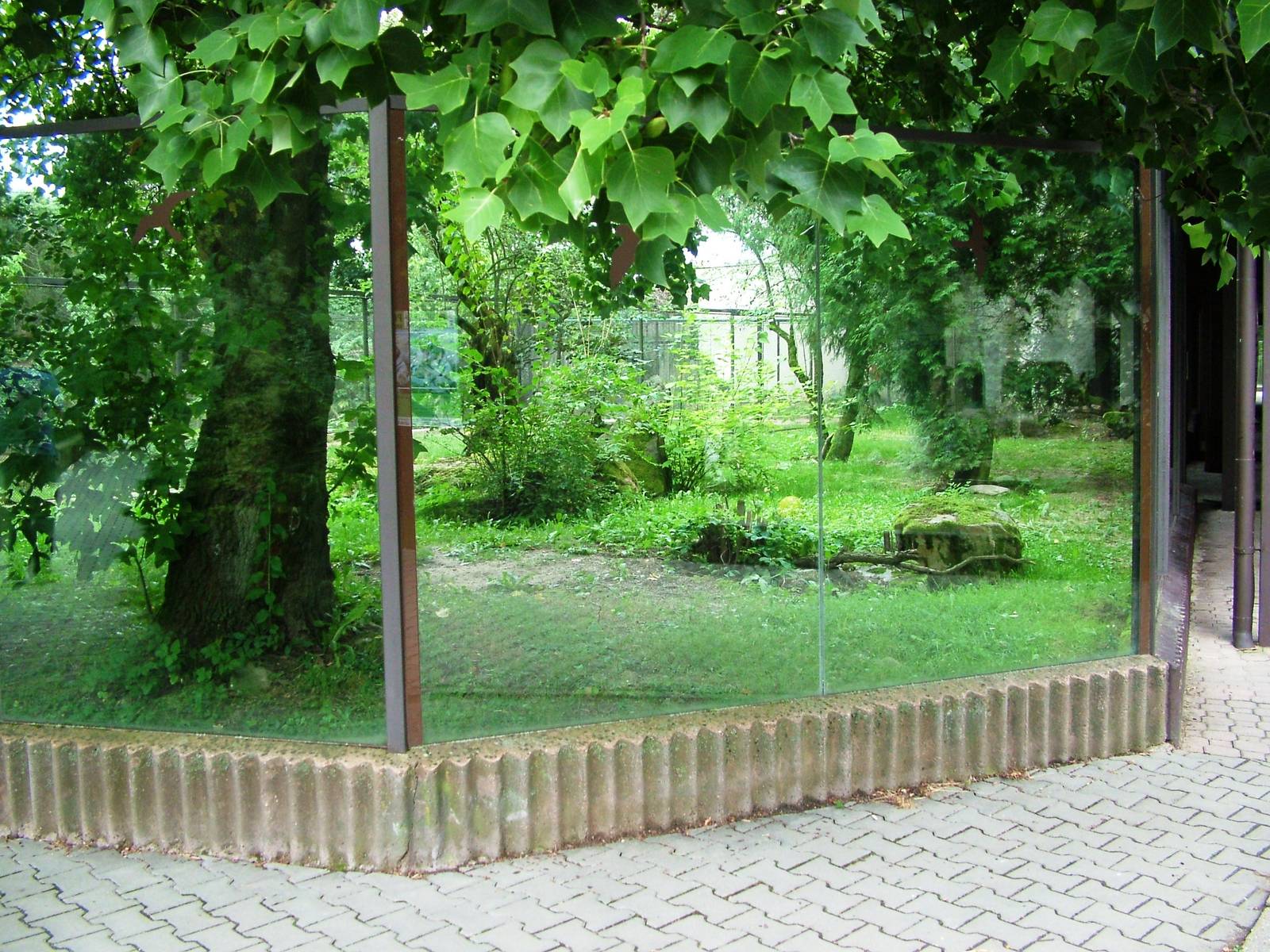 Fox Exhibit at Dvur Kralove, 26/08/12