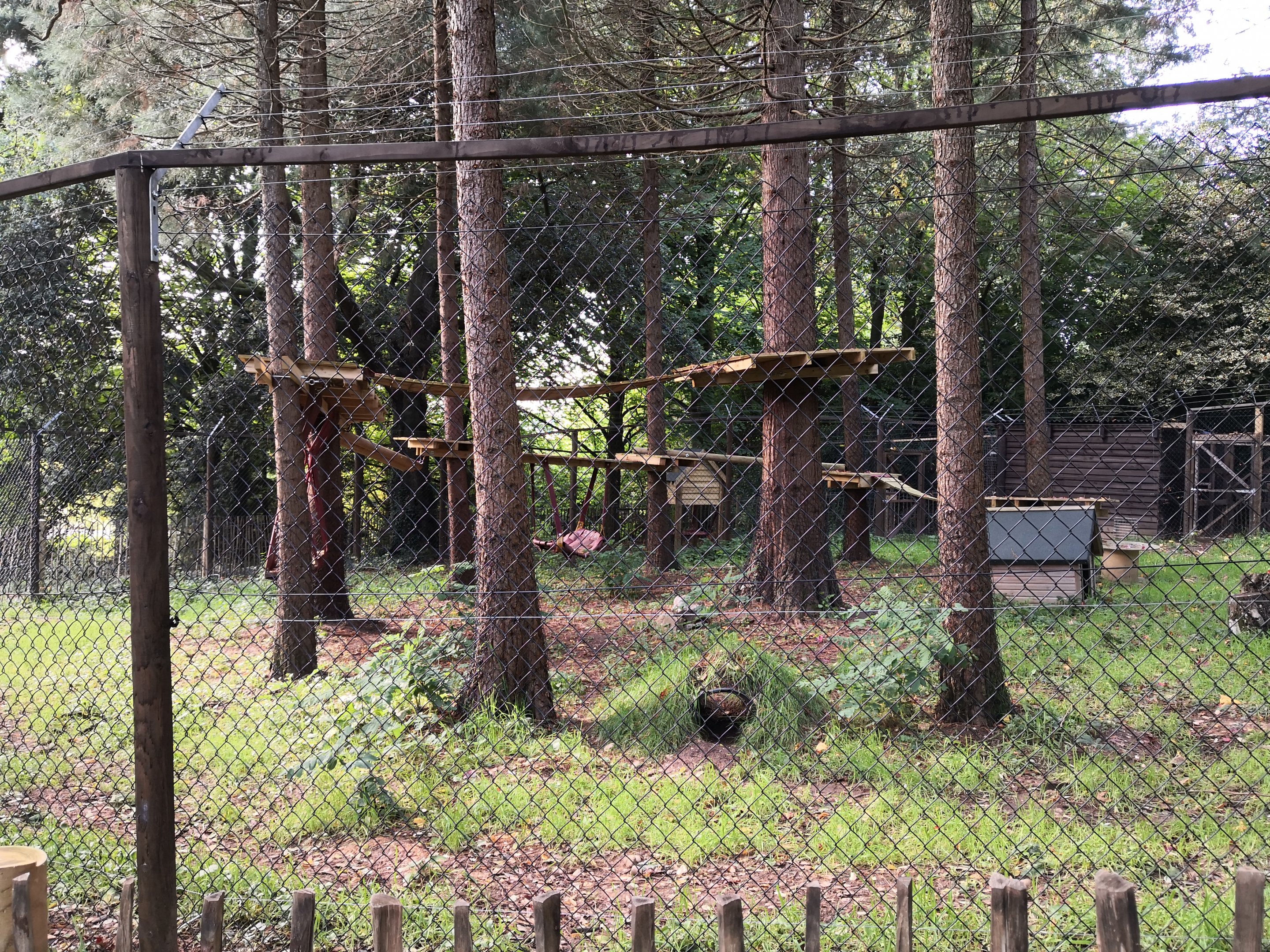 Fox Exhibit Wildwood Escot