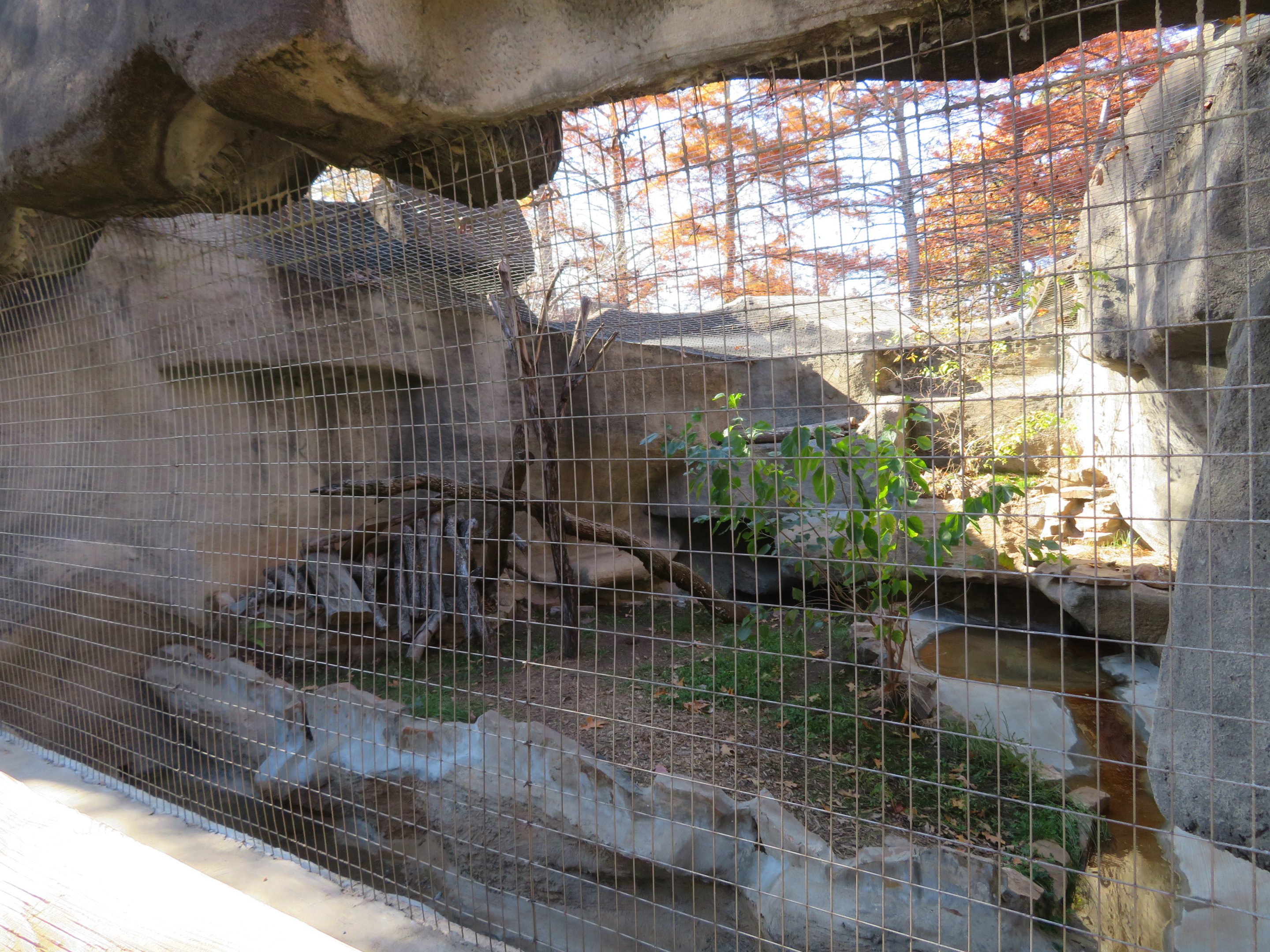 Fox Exhibit