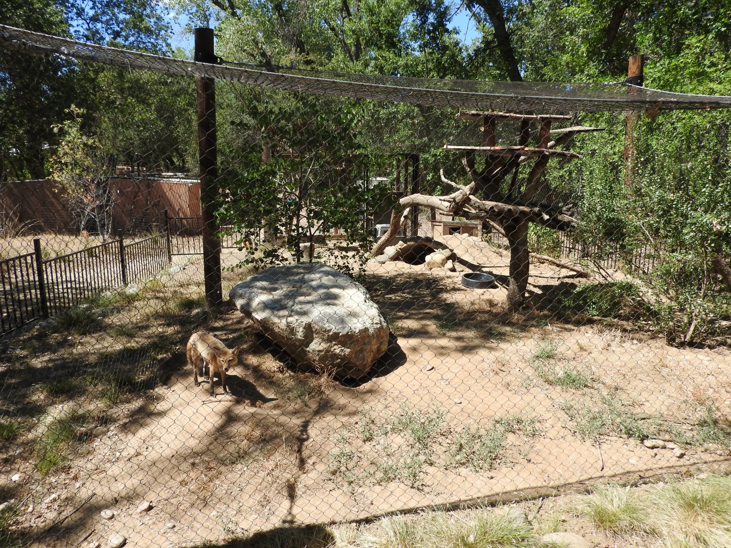Fox Exhibit
