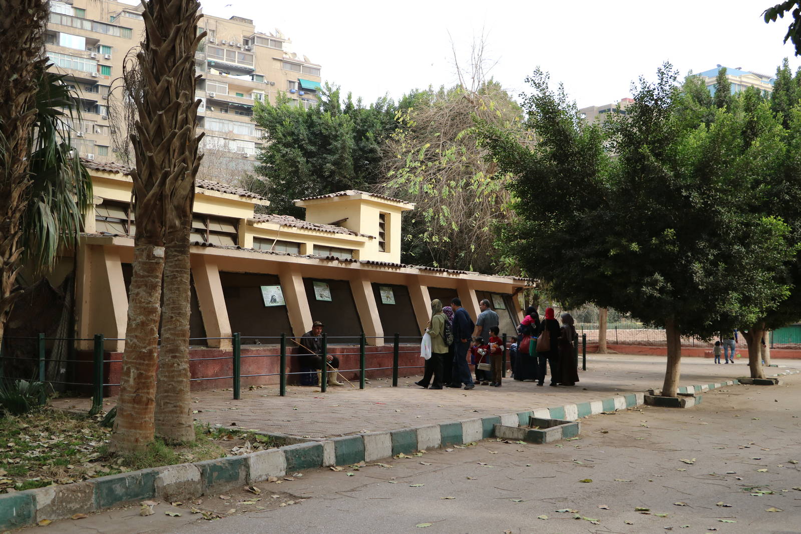 Fox house, February 2016