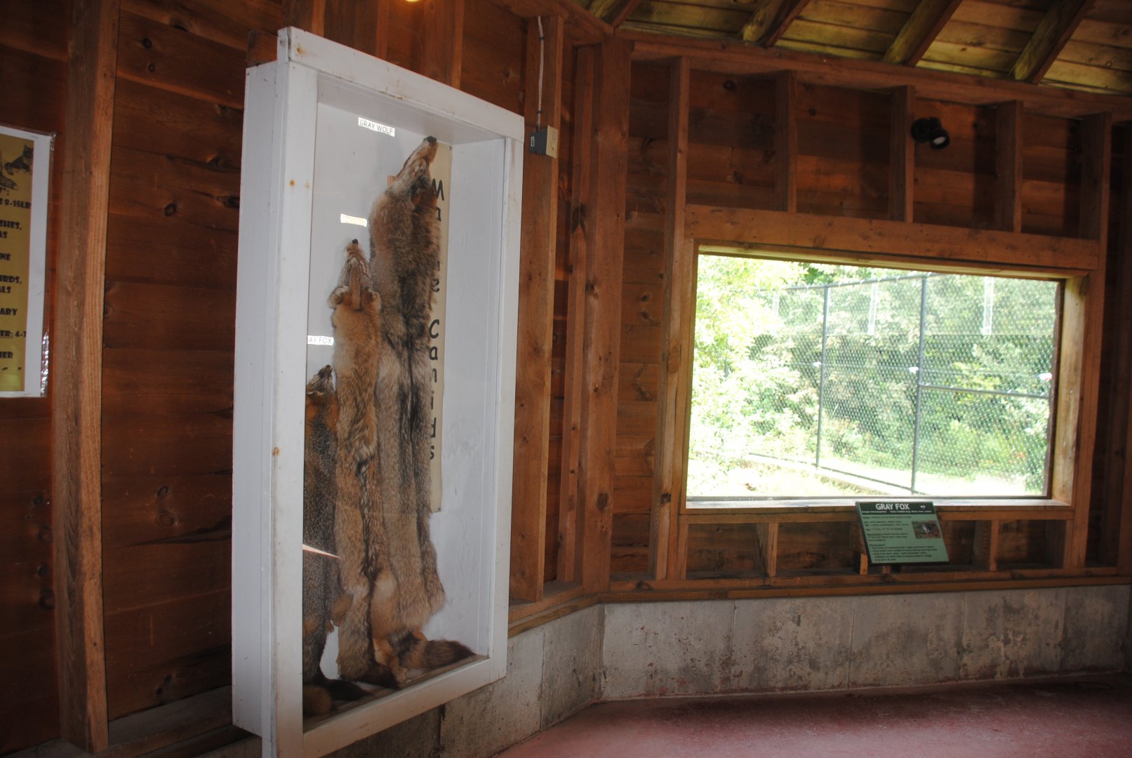 Foxes viewing shelter