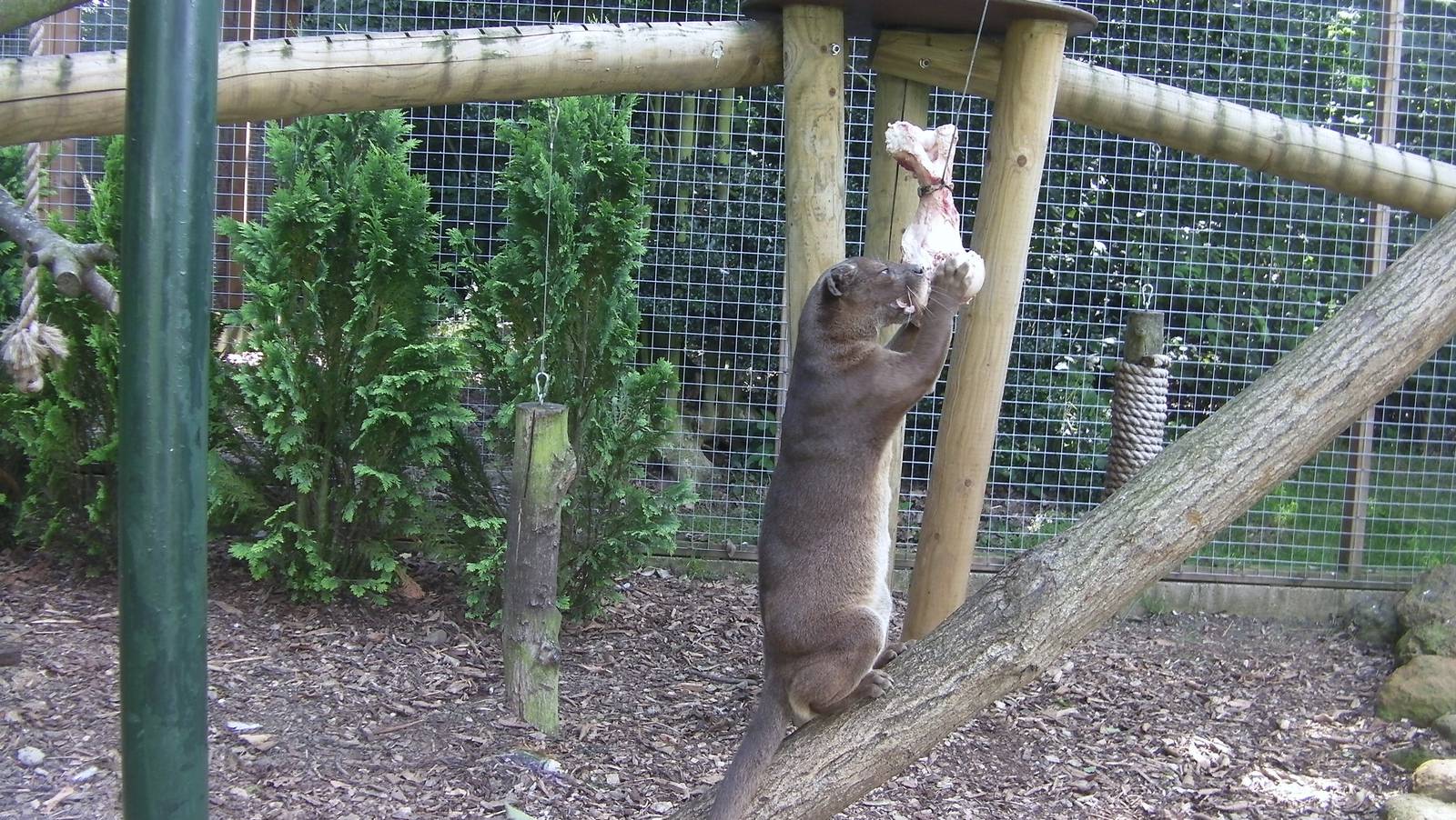 Fozza Enrichment - 02.08.2011